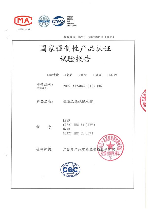RVVP 2×1國家強(qiáng)制性產(chǎn)品認(rèn)證試驗(yàn)報告（2022）