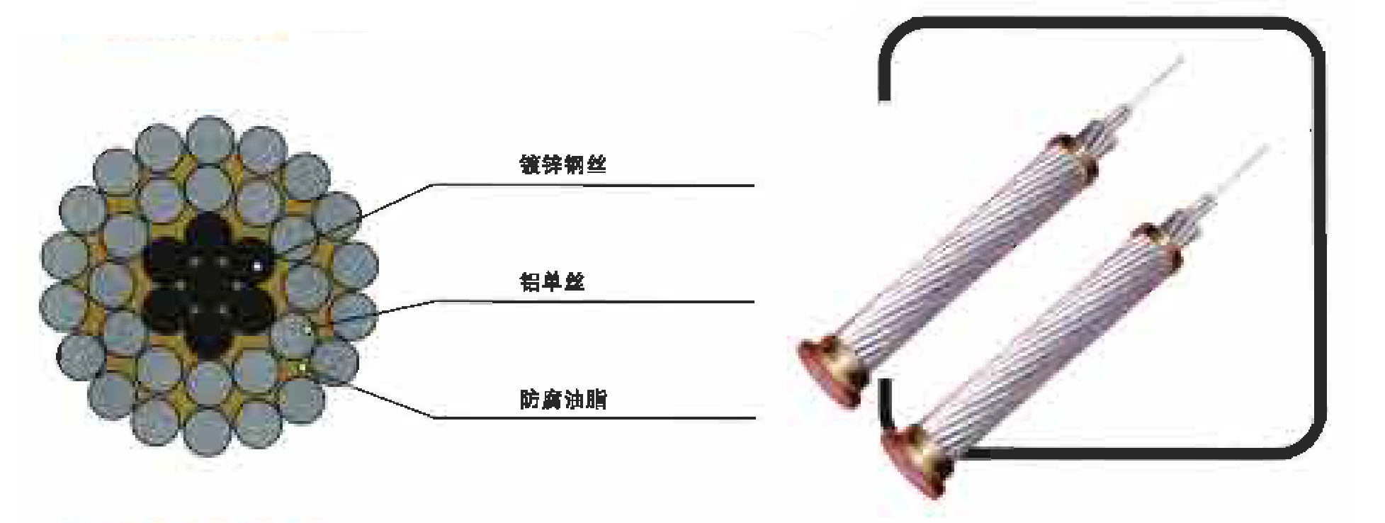 鋼芯鋁絞線、防腐鋼芯鋁絞線